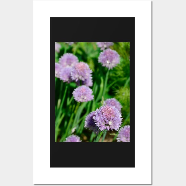 Chive Flowers Wall Art by jojobob